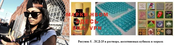 мдпв Каменногорск