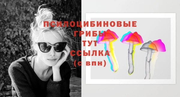 крисы Каменка