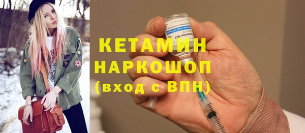 крисы Каменка