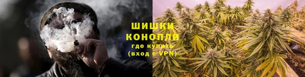 крисы Каменка