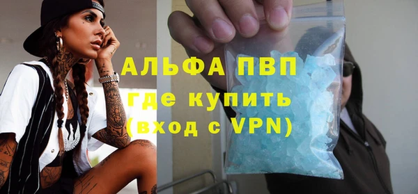 крисы Каменка