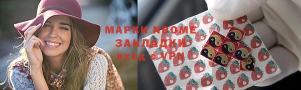 мдпв Каменногорск