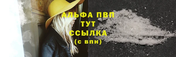 крисы Каменка