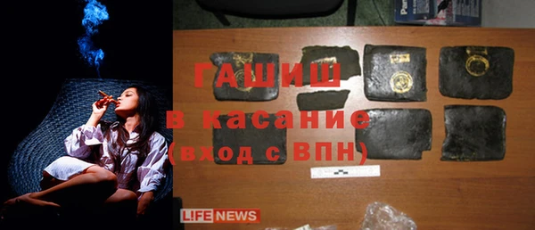 мдпв Каменногорск