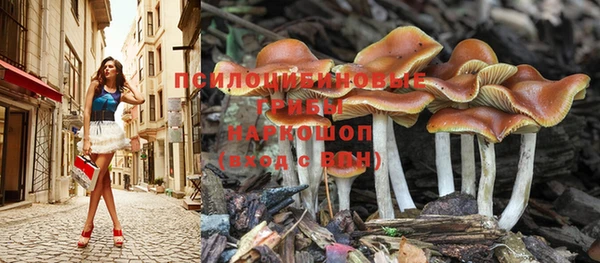 мдпв Каменногорск