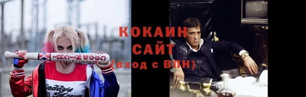 мдпв Каменногорск