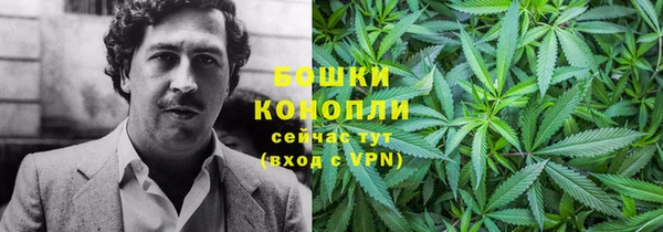 крисы Каменка