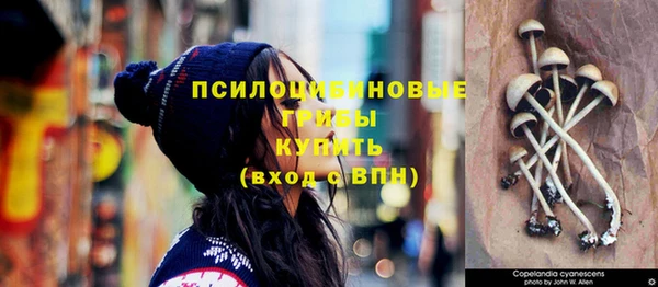 мдпв Каменногорск