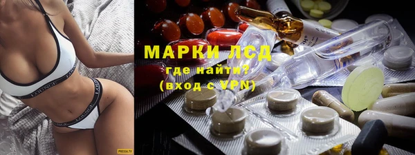 крисы Каменка