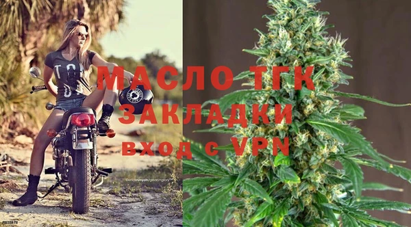 крисы Каменка