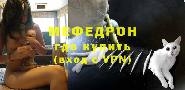мдпв Каменногорск