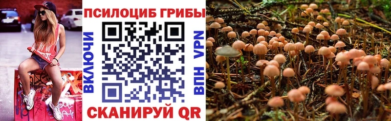 Купить где  Верхотурье  Псилоцибиновые грибы мухоморы 